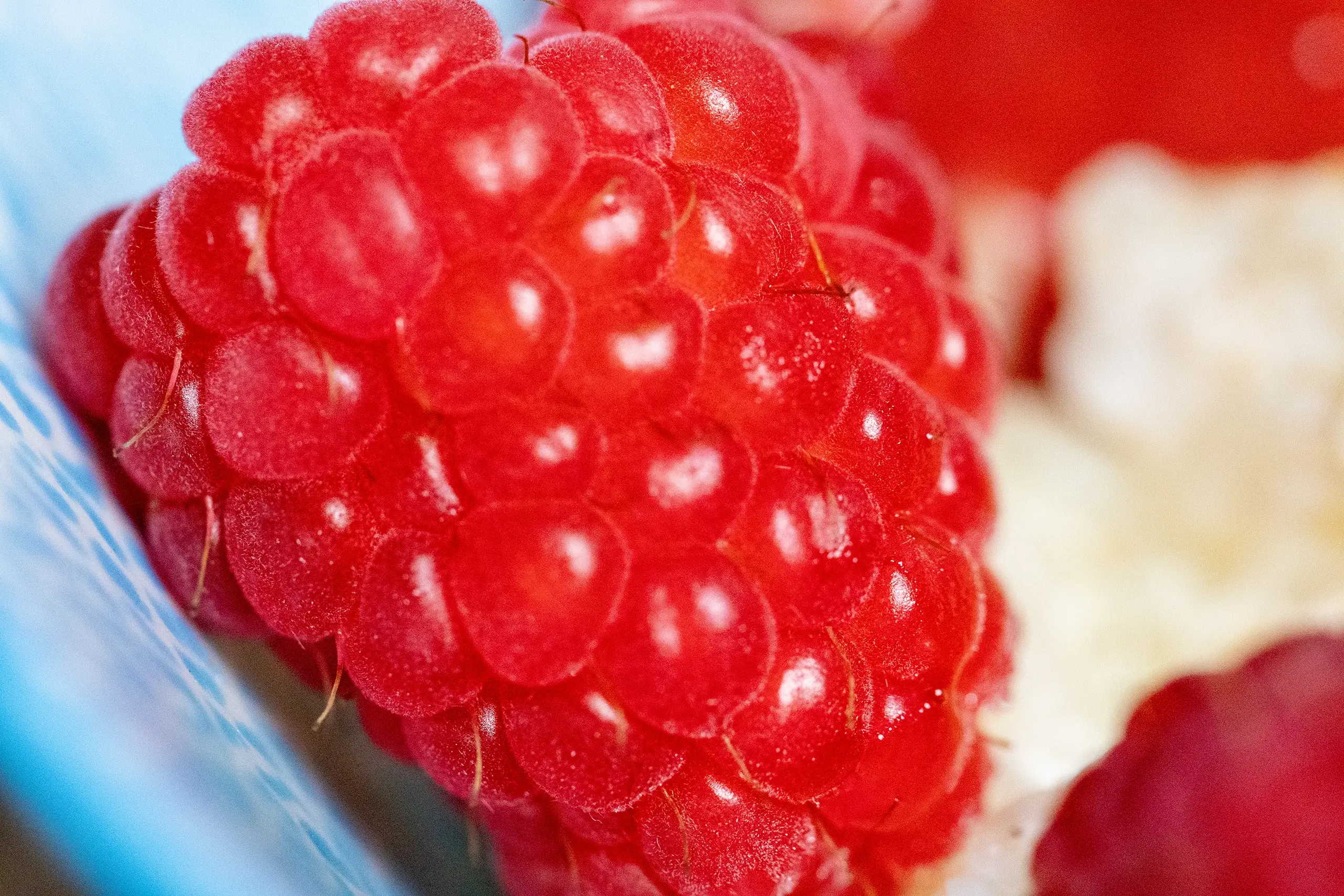 Himbeere Nahaufnahme